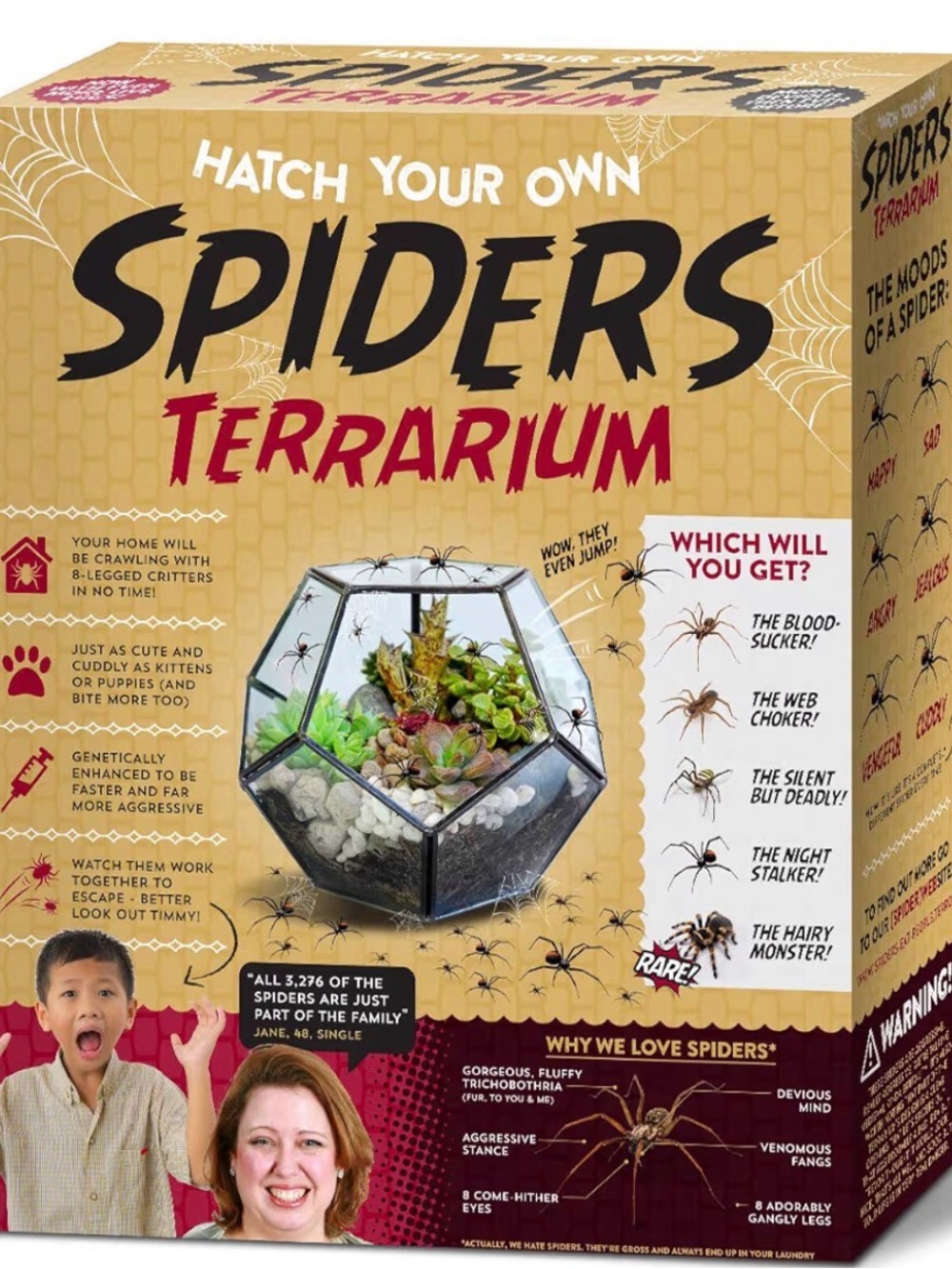 Terrarium - Novelty Pet Kit - Yellow